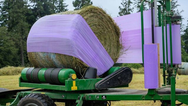 <p>Poor fermentation, damaged plastic and crop contamination can all contribute to mould and waste in bale silage. Brian Reidy outlines the main causes and practical steps farmers can take to reduce losses.</p>