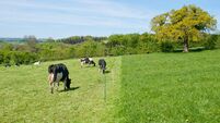 Electric Fence