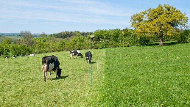 <p>Don't stretch the rotation much beyond 25-26 days, as quality will deteriorate rapidly after that, advises ruminant nutritionist Brian Reidy.</p>