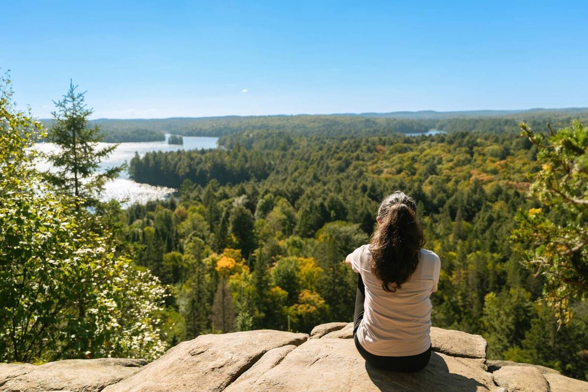 The forest and lakes of Algonquin Park in Canada
