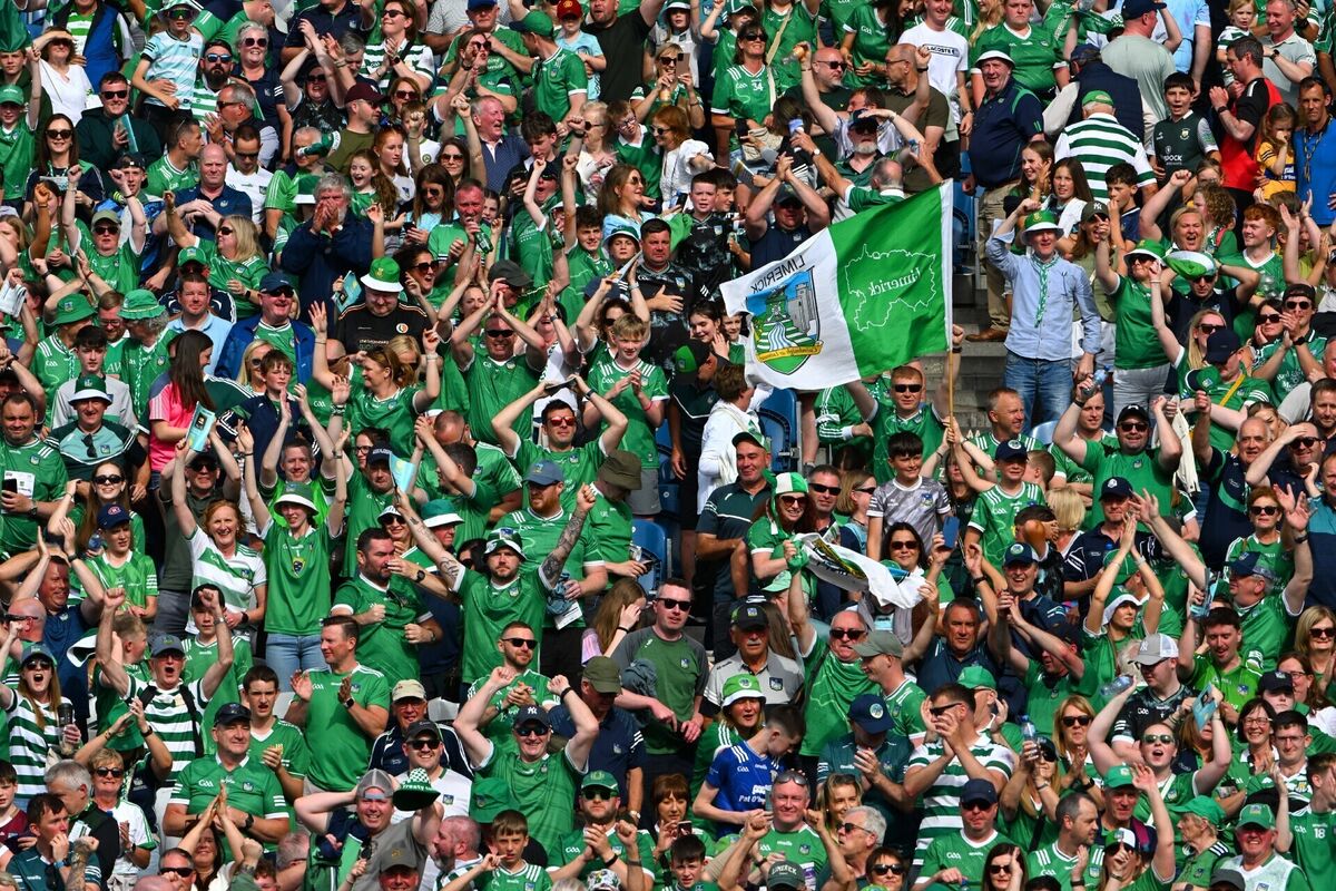 Limerick supporters in the Hogan Stand celebrate. Pic: Ray McManus/Sportsfile