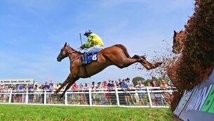 <p>Femme Magnifique and Cian Quirke win the BOYLE Sports Daily Money Back Meeting Handicap Steeplechase. Pic: Healy Racing Photo</p>