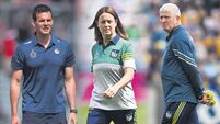 Maurice Brosnan on Limerick v Galway: Treaty a side at full blast