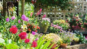 <p>Carlow Garden Festival returns from July 25 to August 2 bringing together some of the most respected names in gardening from Ireland and the UK. Picture: iStock</p>