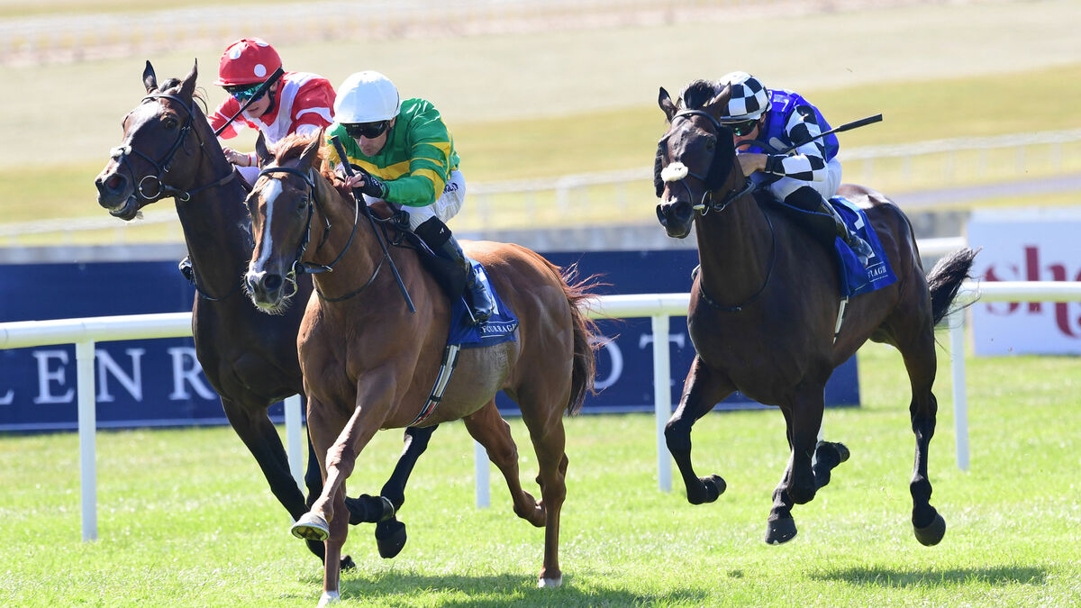 Melbourne Cup an option for Trustyourinstinct after Curragh victory