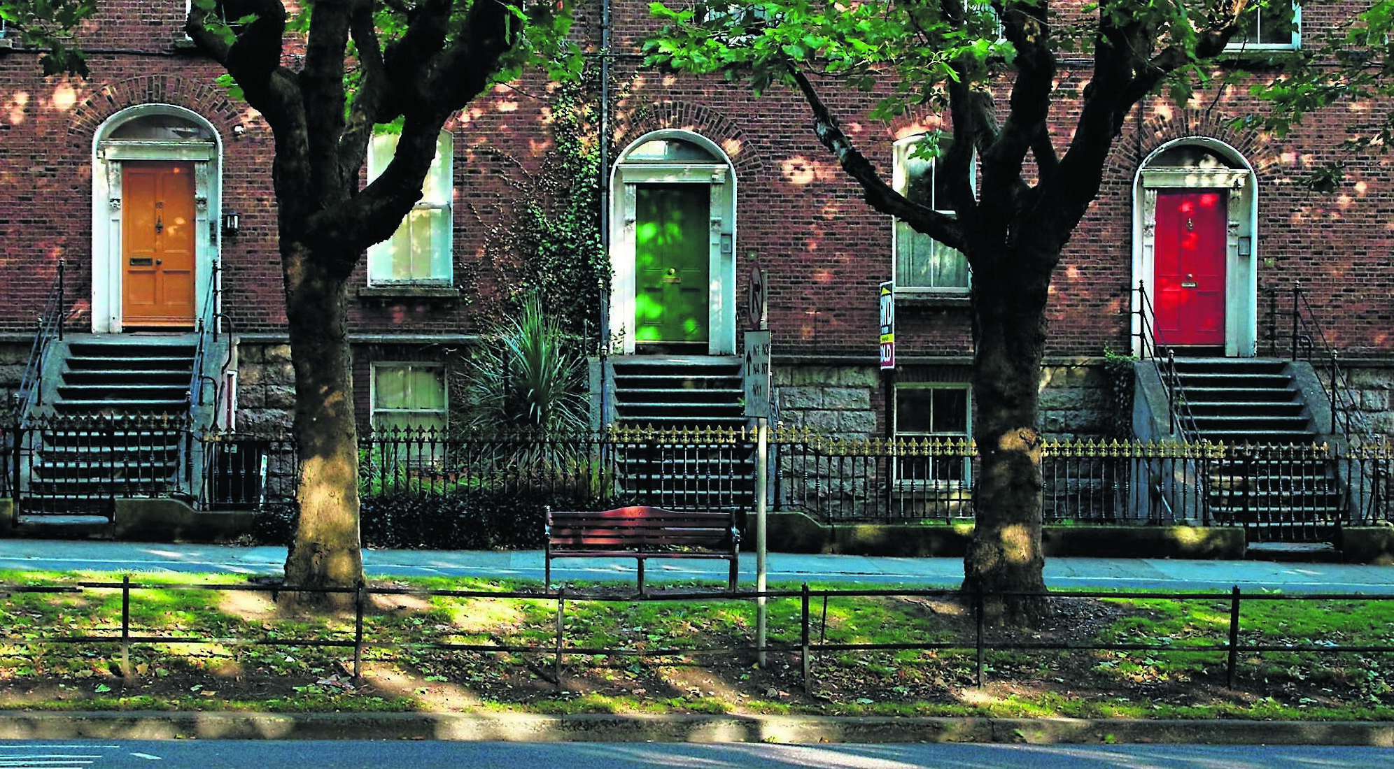Michelle McKeown: In a Heatwave, Trees Are Doing More Than Looking Pretty