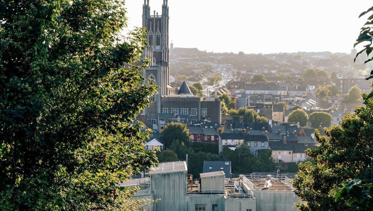 The North Cathedral in Cork CIty. A European study estimated that increasing tree cover to 30% across cities could substantially reduce deaths associated with the urban heat island effect. The North Cathedral in Cork CIty. A European study estimated that increasing tree cover to 30% across cities could substantially reduce deaths associated with the urban heat island effect.