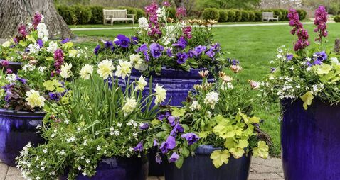 iStock-492901201.jpg Floral arrangement in spring
