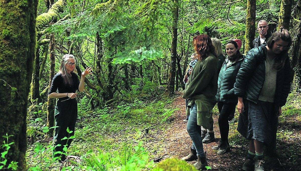 Esk Mountain founder Kloe Wood Lyndorff, left, leads foraging trails and visitor experiences that are all part of their strategy to make the 270 acre nature restoration project located on the Cork-Kerry border feasible. Picture: eskmountain.com