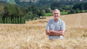<p>Tom Barry, tillage farmer</p> <p>Tom Barry, tillage farmer</p>