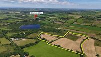 39a North Cork farm with two-bed farmhouse already under offer
