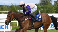 Henry de Bromhead likely to dominate in Ballinrobe