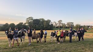 <p>The Cork YMA team getting in some showmanship practice before the FBD IHFA National YMA Finals in Kilkenny. </p> <p>The Cork YMA team getting in some showmanship practice before the FBD IHFA National YMA Finals in Kilkenny. </p>