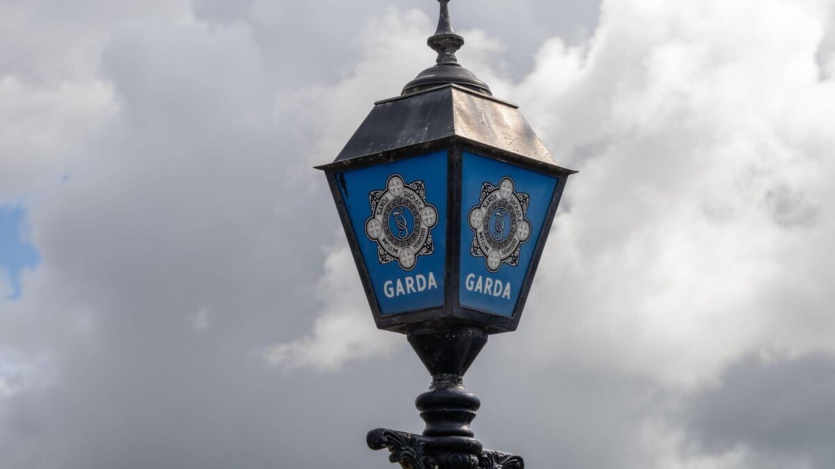 'Less-lethal force' used to disarm man with knife at car park in Louth