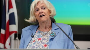 <p>Ann Widdecombe speaking during a Reform UK general election campaign launch in Westminster, London (Lucy North/PA)</p> <p>Ann Widdecombe speaking during a Reform UK general election campaign launch in Westminster, London (Lucy North/PA)</p>
