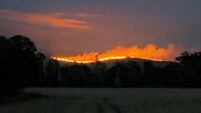 Emergency services remain at scene of 'very large' fire on Slievenamon