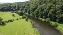 Beautiful view of a river flowing near the dense forest in Thomastown, County Kilkenny, Ireland