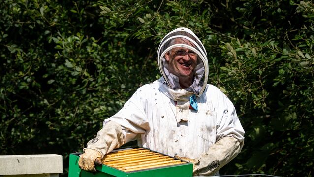 <p>John Hurley inspects his homemade beehives as part of his efforts to encourage native pollinators on his family farm. Picture: Chani Anderson</p>