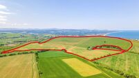 208ac piece of Garden County seeks €19k/acre 