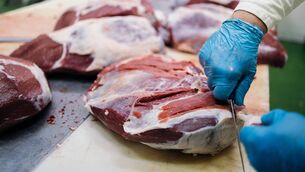 <p>Numbers are flowing into the factories a shade easier, with an increase of 2,500 head last week pushing supply to 3,000 head more than the same week last year.</p> <p>Numbers are flowing into the factories a shade easier, with an increase of 2,500 head last week pushing supply to 3,000 head more than the same week last year.</p>