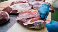 Meat industry slaughterhouse and food processing