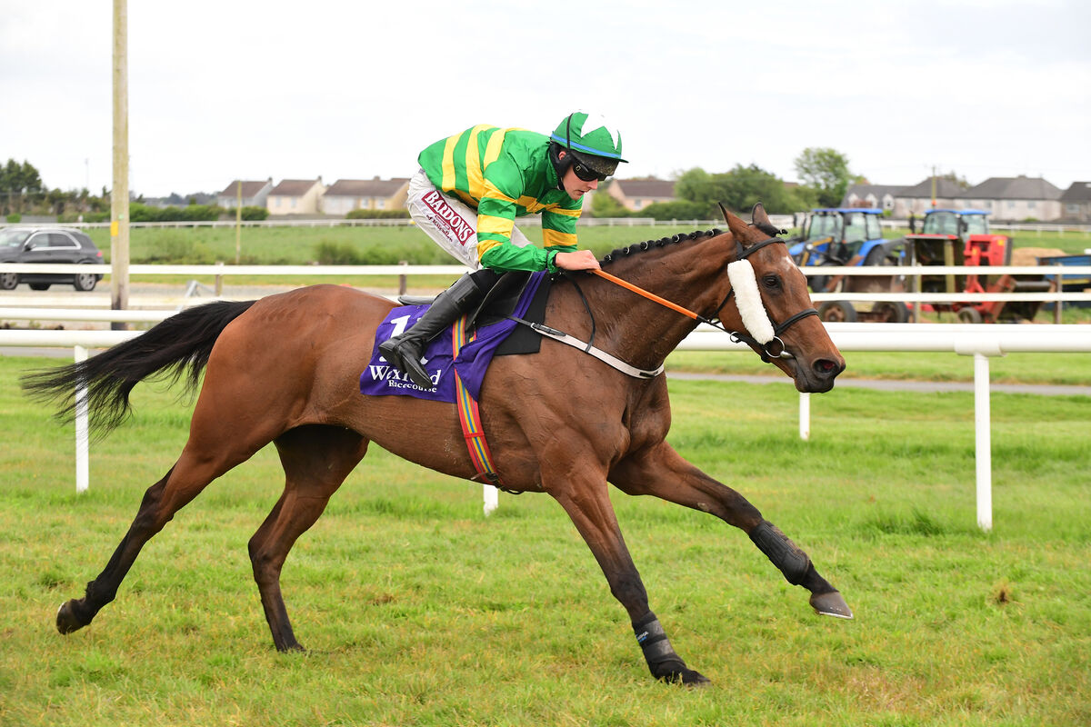 Teenage Kiss ticks the course box having won a three-mile contest over hurdles in May. Pic: Healy Racing Teenage Kiss ticks the course box having won a three-mile contest over hurdles in May. Pic: Healy Racing
