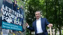 Signpost: Help protect pollinators  by taking part in a 10-minute insect count