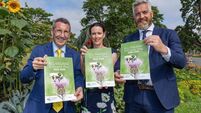 Working with landowners to protect and restore Ireland's rivers