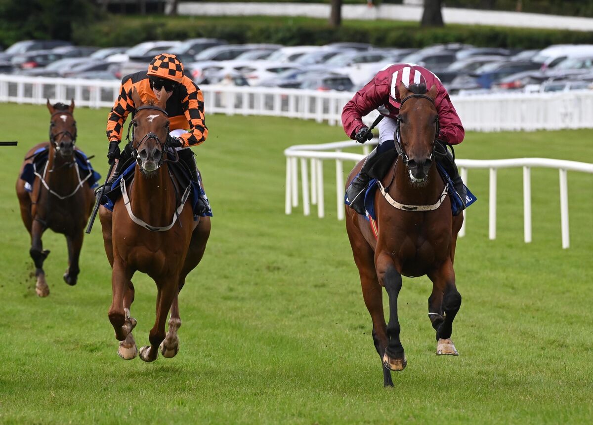 No Mon No Fun gallops to the finish. Pic: Healy Racing No Mon No Fun gallops to the finish. Pic: Healy Racing
