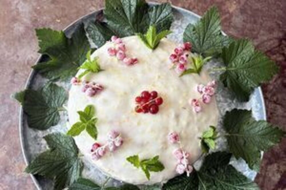 Summer cake with frosted redcurrants and mint leaves