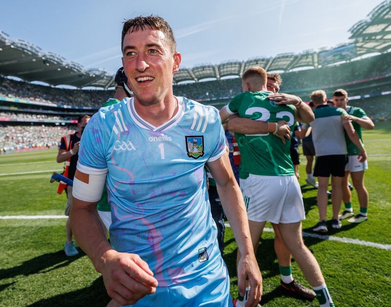 Nickie Quaid has his name in the hat for Hurler of the Year. Pic: James Crombie, Inpho Nickie Quaid has his name in the hat for Hurler of the Year. Pic: James Crombie, Inpho