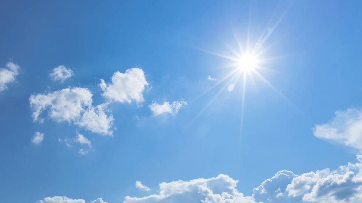 Esther McCarthy: Making hay while the sun shines — five happy moments from this week