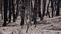 Spain Europe Wildfires