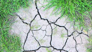 <p>Healthy soil is a living system of minerals, roots, fungi, bacteria, organic matter, air and water. It stores carbon, supports plants, filters water and helps decide whether rain soaks into the ground or runs towards the nearest drain. Drought does not simply make soil dry. It changes how soil is structured, how it functions and how well it recovers.	<span class="contextmenu emphasis CaptionCredit">Pictures: iStock</span>
            </p>