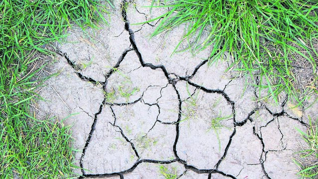 <p>Healthy soil is a living system of minerals, roots, fungi, bacteria, organic matter, air and water. It stores carbon, supports plants, filters water and helps decide whether rain soaks into the ground or runs towards the nearest drain. Drought does not simply make soil dry. It changes how soil is structured, how it functions and how well it recovers.	<span class="contextmenu emphasis CaptionCredit">Pictures: iStock</span>
            </p>
