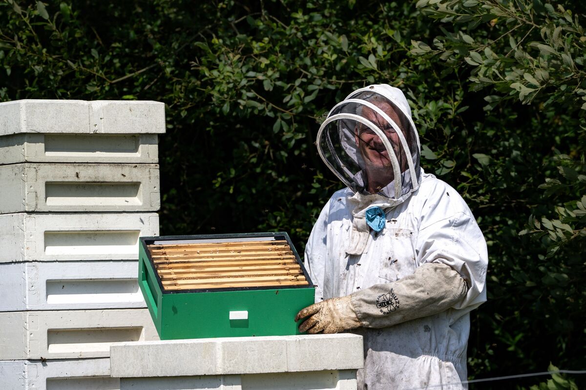 John Hurley: 'I learned a lot from them [the bees] as well because of the value of different plants and things such as farming, trees and shrubs, and what's going on through all the different times of year.' Picture: Chani Anderson