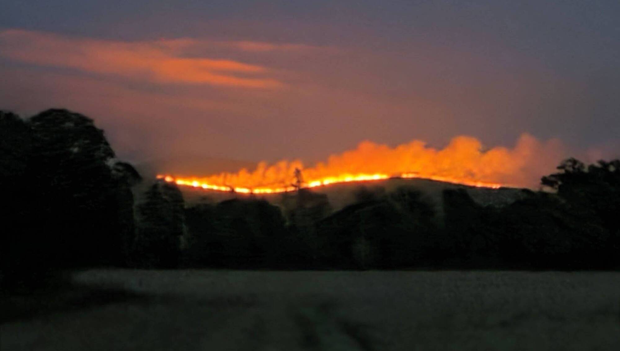 Public urged to stay away as Slievenamon wildfire spreads to forest