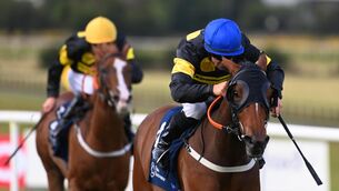 <p>BIG STATEMENT: Big Negotiator wins the Arqana Irish EBF Marwell 2-Y-0 Stakes in the hands of Wayne Lordan. Picture: Healy Racing</p>
