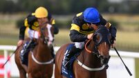 Big Negotiator delivers for Twomey at Naas