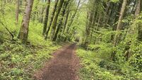 Hike the mountain which straddles Limerick and Tipp border — with views from Kerry to Wicklow