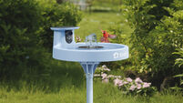 Garden tech review: Watching wildlife from your phone with the Birdfy Birdbath Pro