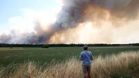 French firefighters battle Fontainebleau forest blaze near Paris