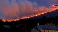 Irish Examiner view: Education is key when it comes to wildfires