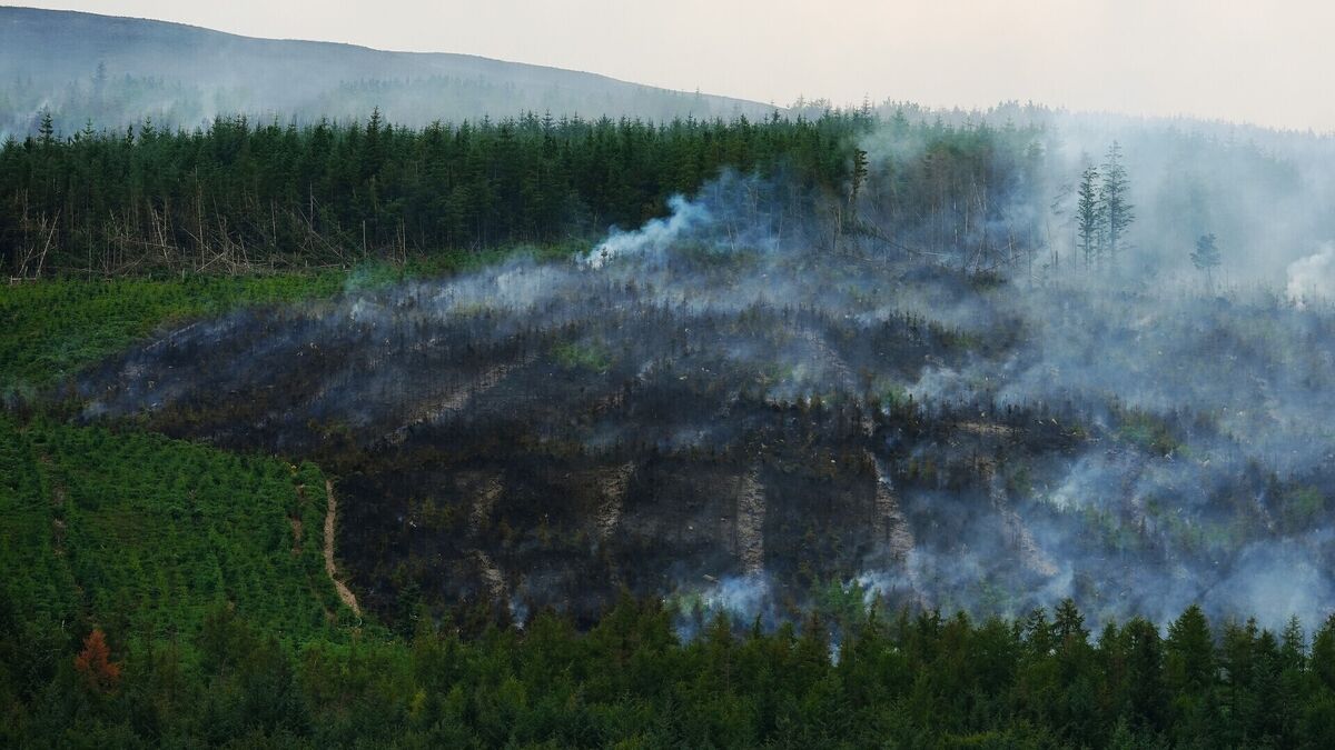 Slievenamon wildfire: Resident describes 'terrifying' blaze as smoke reaches Cork city