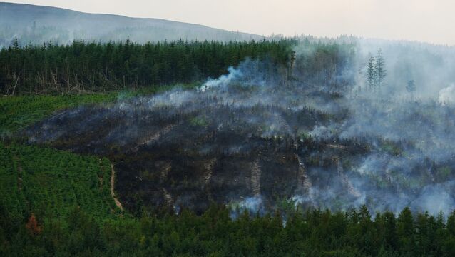 <p>A major wildfire continues to burn at Slievenamon in Co Tipperary. Picture: Brian Lawless/PA Wire</p>