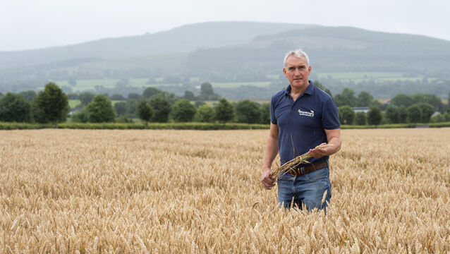 <p>I was worried that the long, dry, hot weather might reduce yields by prematurely ripening crops. However, the yields and quality so far are good, writes North Cork tillage farmer Tom Barry. Picture: Dan Linehan</p>
