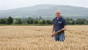 <p>I was worried that the long, dry, hot weather might reduce yields by prematurely ripening crops. However, the yields and quality so far are good, writes North Cork tillage farmer Tom Barry. Picture: Dan Linehan</p> <p>I was worried that the long, dry, hot weather might reduce yields by prematurely ripening crops. However, the yields and quality so far are good, writes North Cork tillage farmer Tom Barry. Picture: Dan Linehan</p>