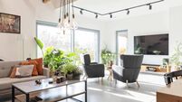 interior decor of domestic room with sofa, armchair and wooden beams on the ceiling. Fashionable design and furniture in house.