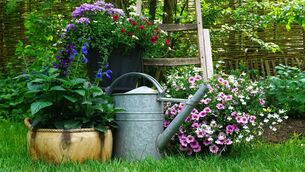 <p>Owenabue Garden and Flower Club, Carrigaline, are hosting an evening walk at DJ Murphy’s garden, Kilumney, P31YW52, on July 27 at 7pm.</p>