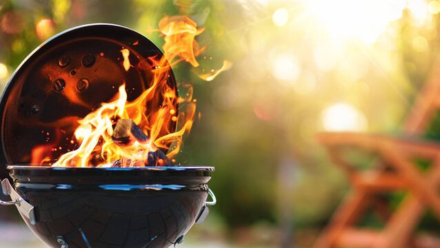 <p>Having a barbecue in dry weather? Make sure you do so safely to prevent fires</p>